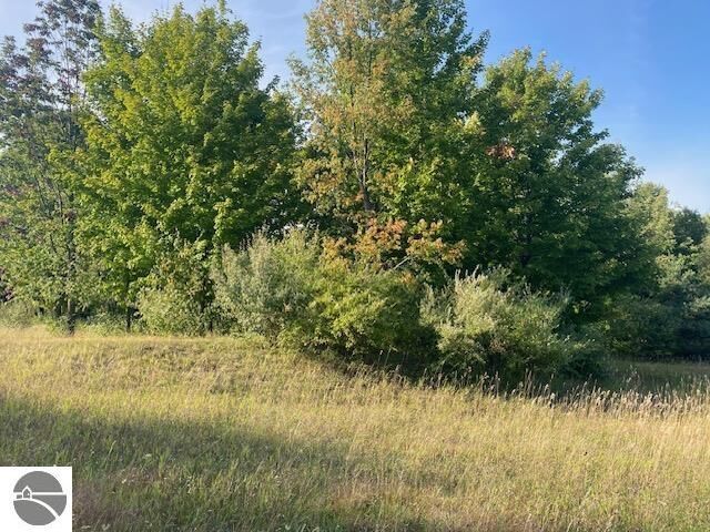 Property Photo: 0 Morning Glory Lane MI 49684