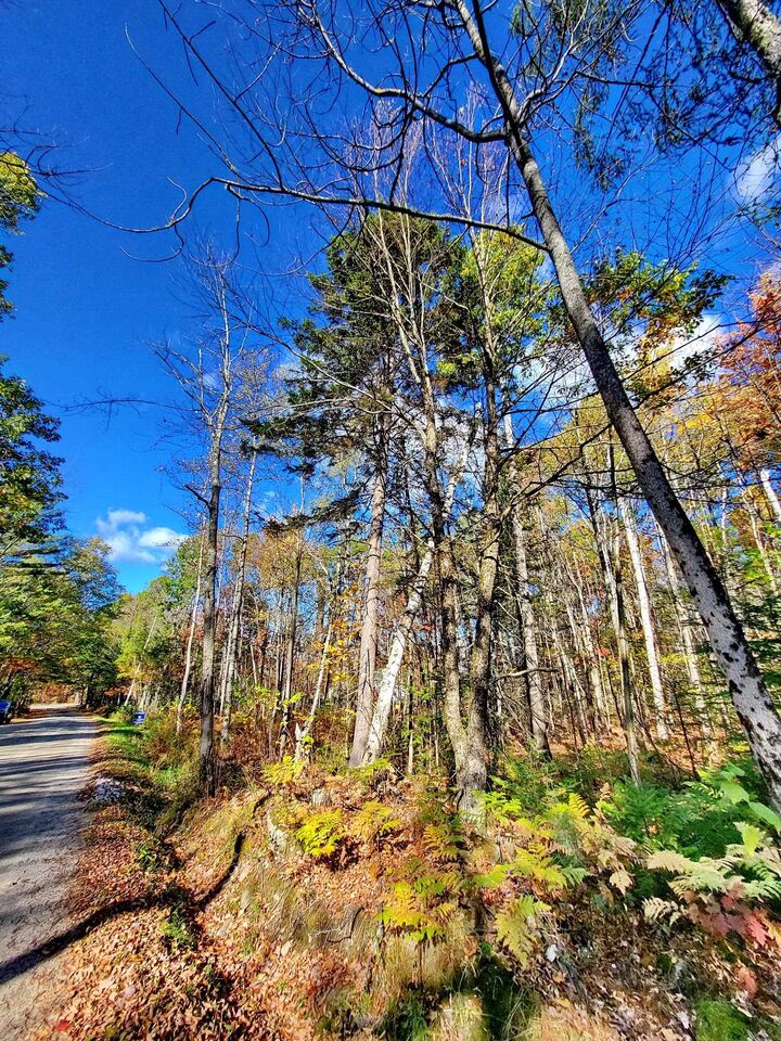 Property Photo:  00 Swazey Lane  NH 03574 