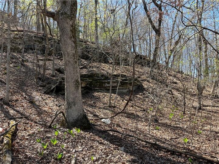 Property Photo:  Lot 13 Dogwood Drive  AR 72732 