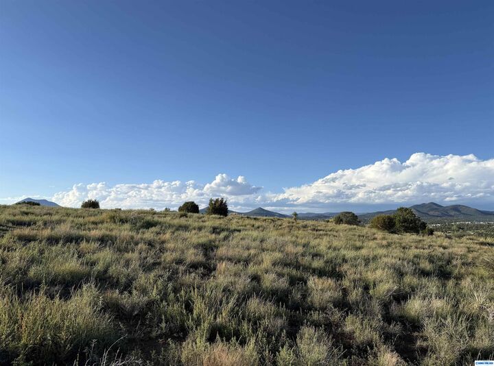 Property Photo: 26 Hitchin Post Ridge NM 88061-0000