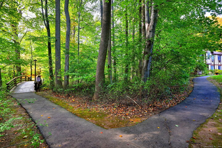 Property Photo:  210 Foxwood Lane 210  CT 06461 