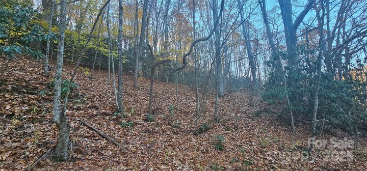 Property Photo: Off Sorrells Cove Road NC 28721