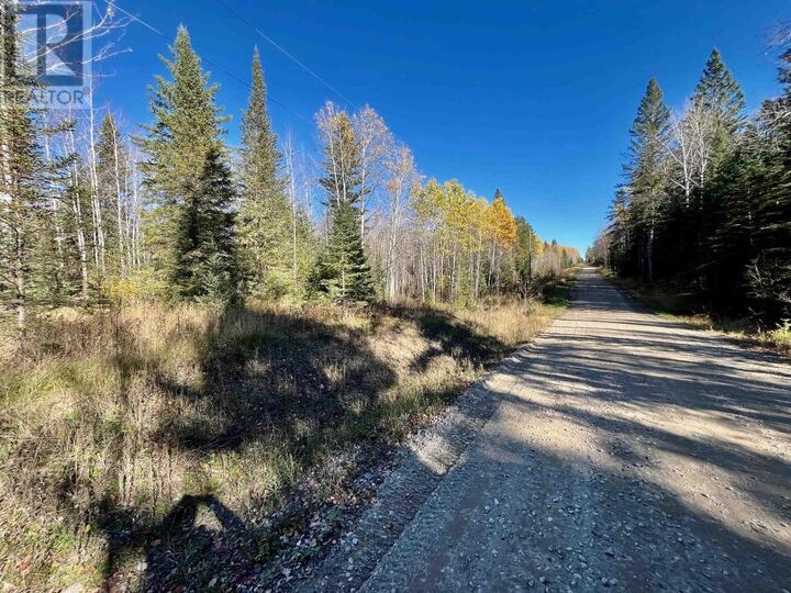Property Photo:  209 Franklin Rd  ON P8N 3G2 