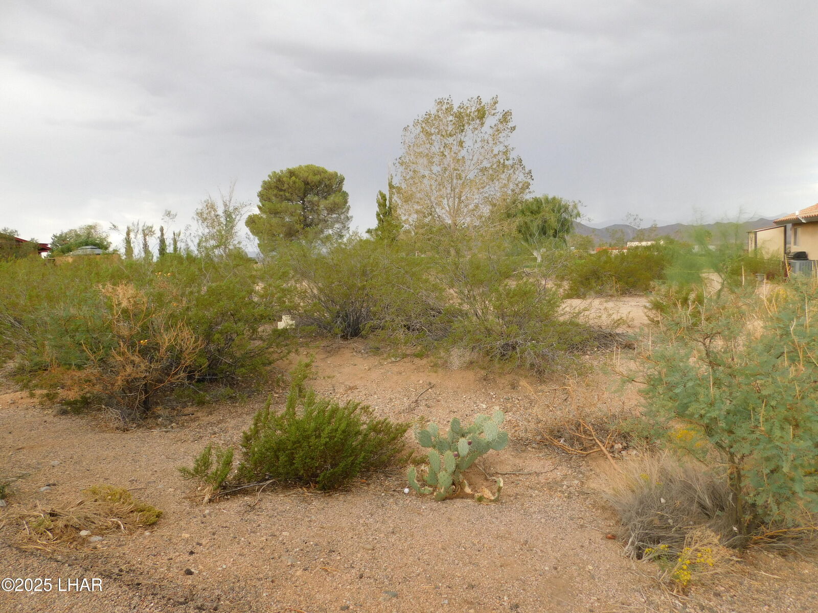 Property Photo: 9773 N Vista Dr AZ 86401