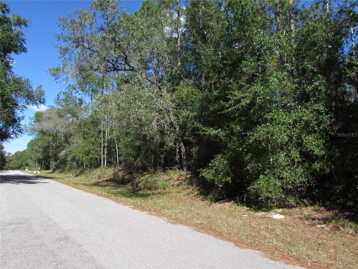 Property Photo:  Lot 13 SW 87th Loop  FL 34431