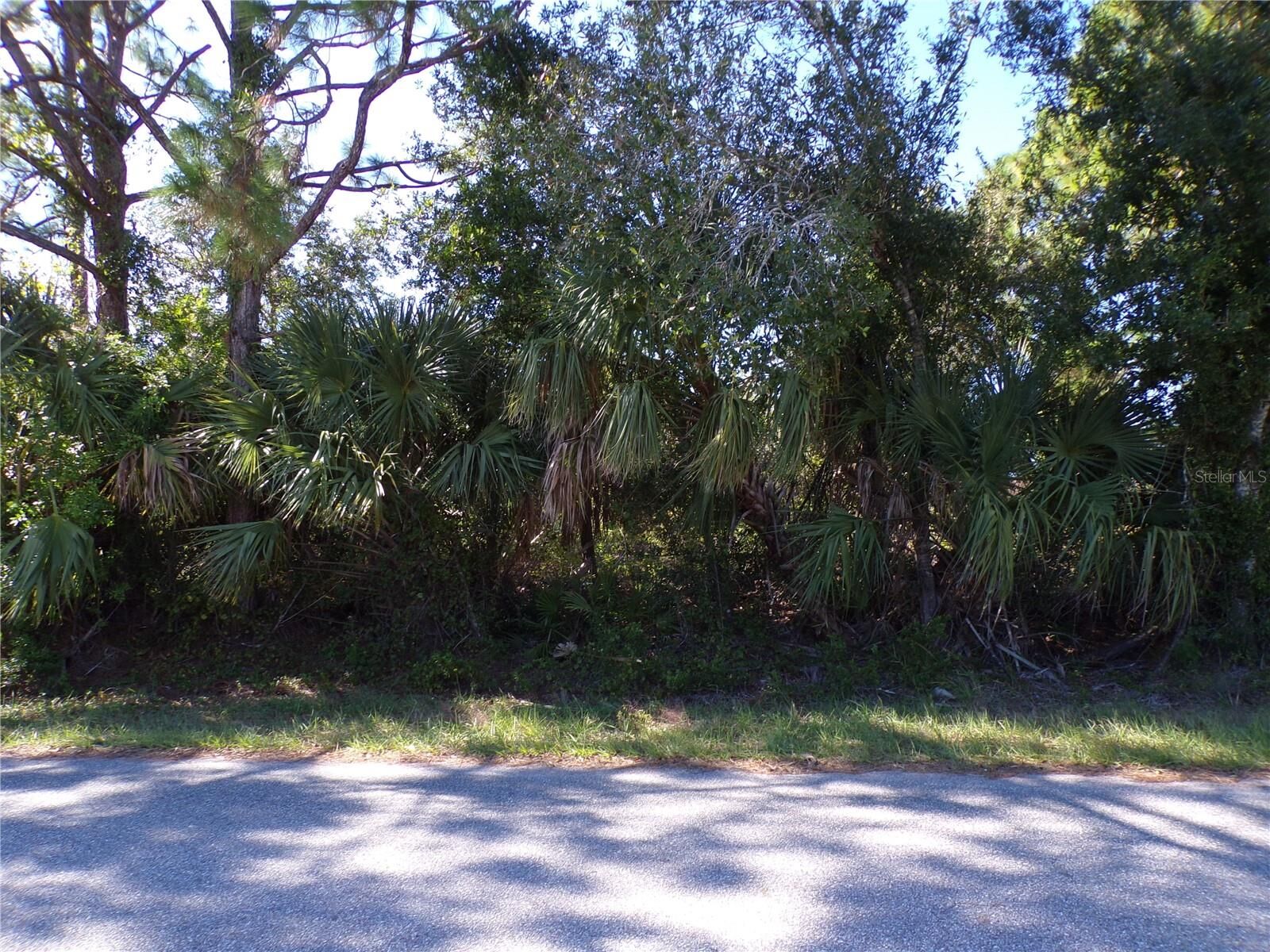 Property Photo: Halblum Street FL 34288