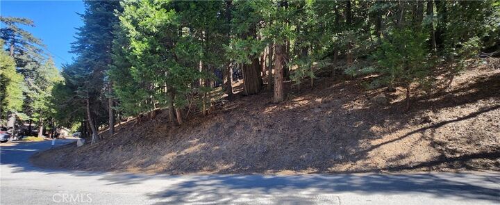 Property Photo: 0 Albrun Drive CA 92325