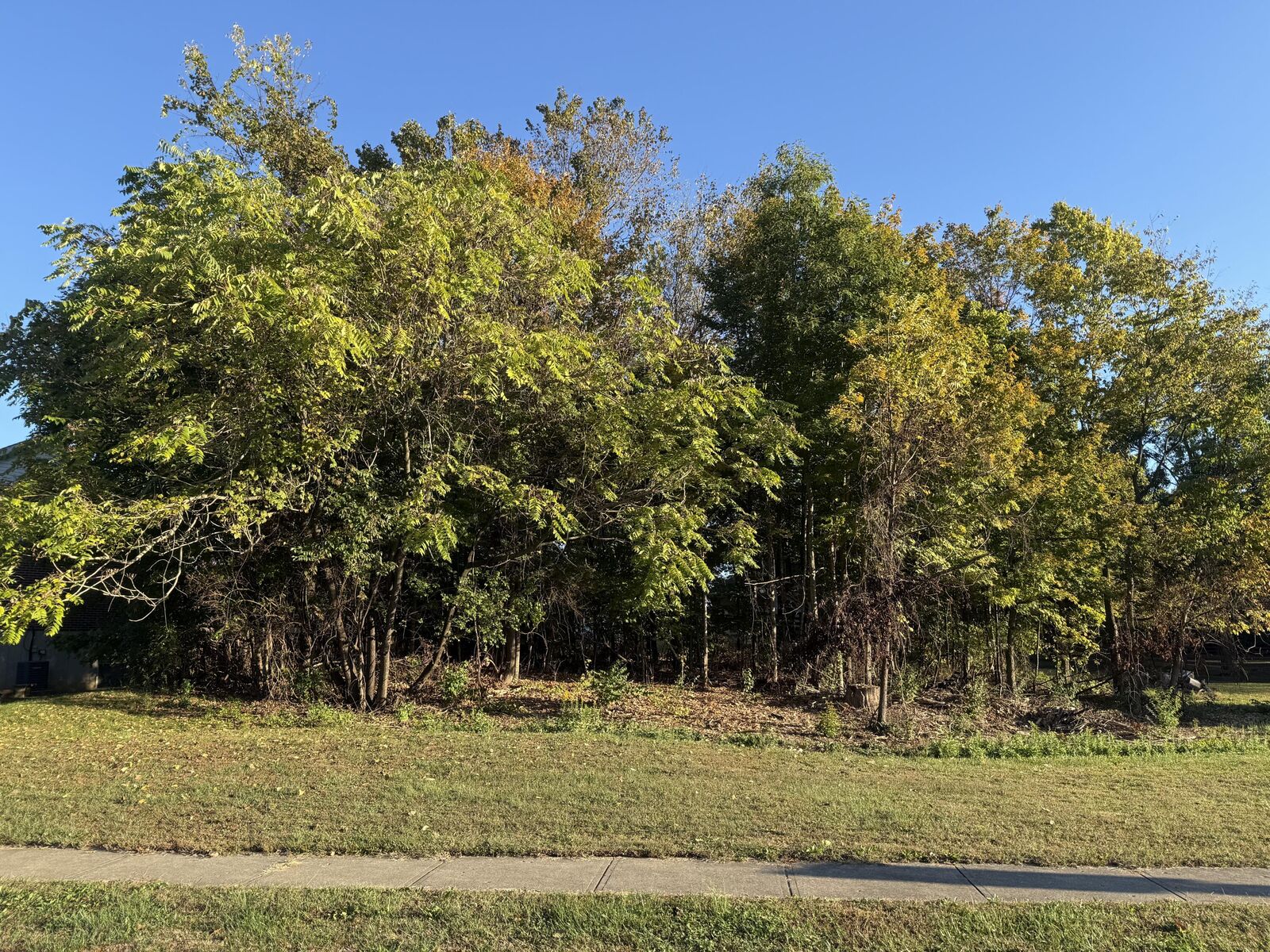 Property Photo: 4895 Dartmouth Drive KY 41005
