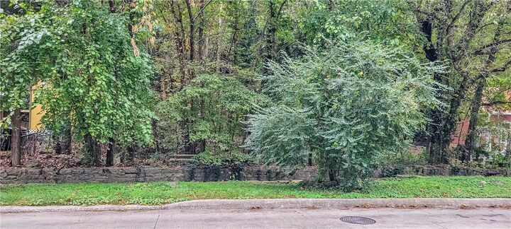 Property Photo: Tbd N Main Street AR 72632