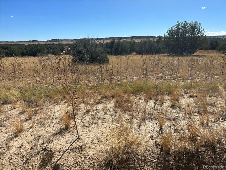 Property Photo:  000 Las Animas Ranches  CO 81059 