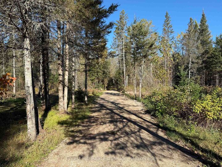 Property Photo:  789 Pickerel &Amp Jack Lake Road  ON P0A 1C0