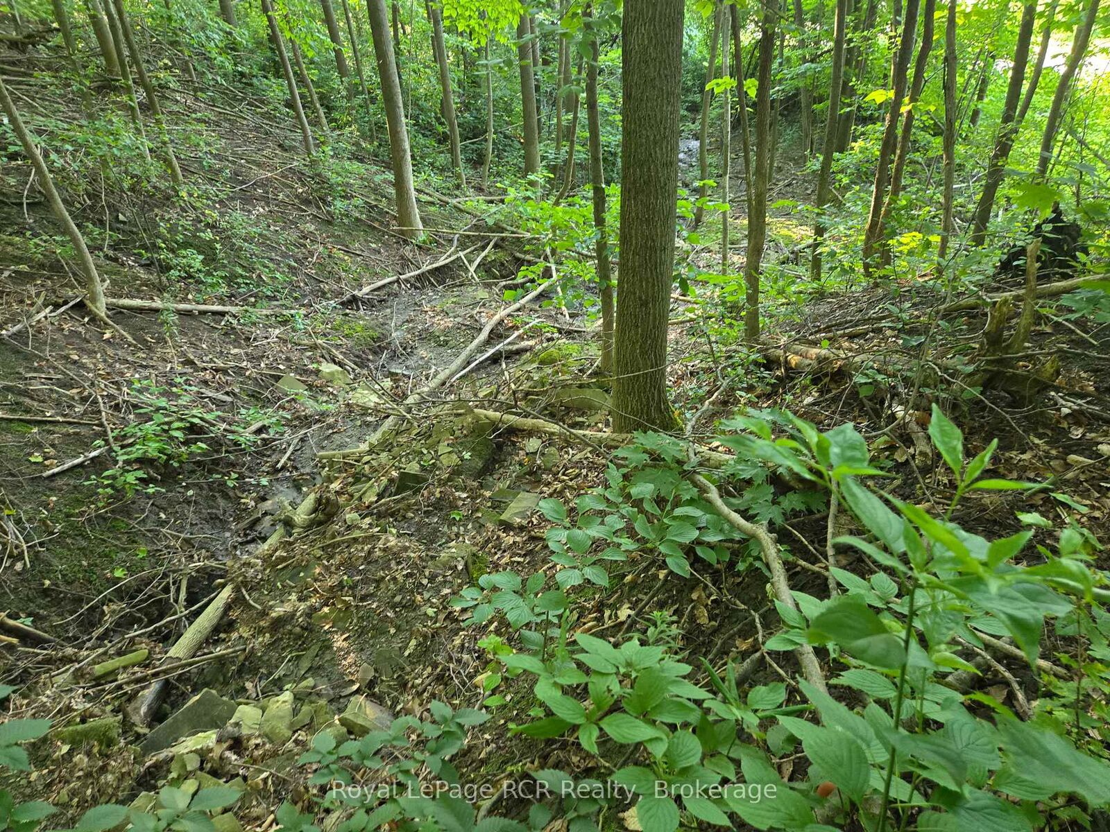Property Photo:  130 Old Highway 26 Highway  ON N4L 1W7 