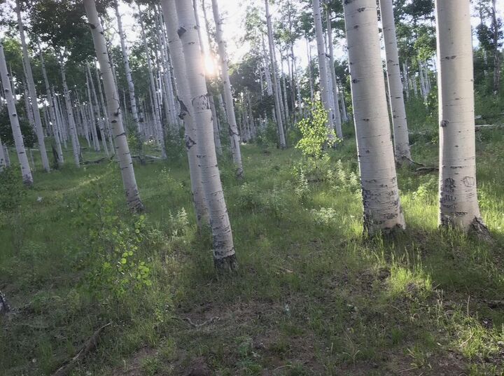 Property Photo: Black Mountain Rd. UT 84720