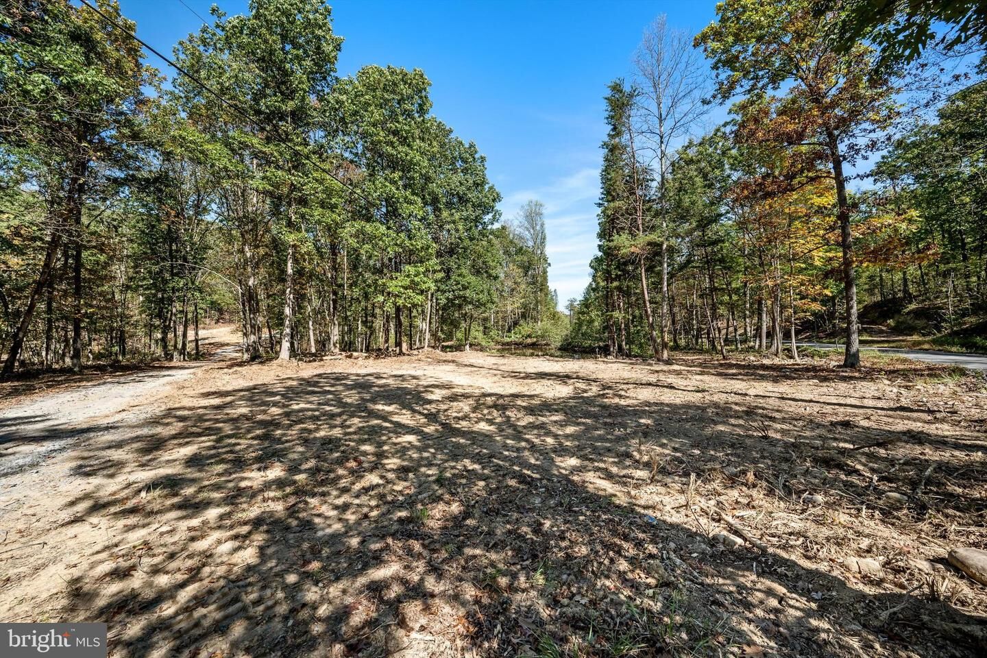 Property Photo:  Lot 4 Back Creek Rd  VA 22637 