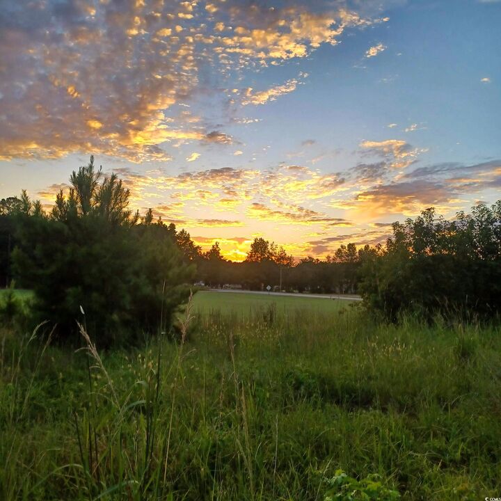 Property Photo: 0 Winnie Rd. SC 29581