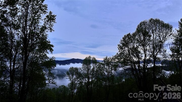 Property Photo:  199 Alpine Drive  NC 28749 