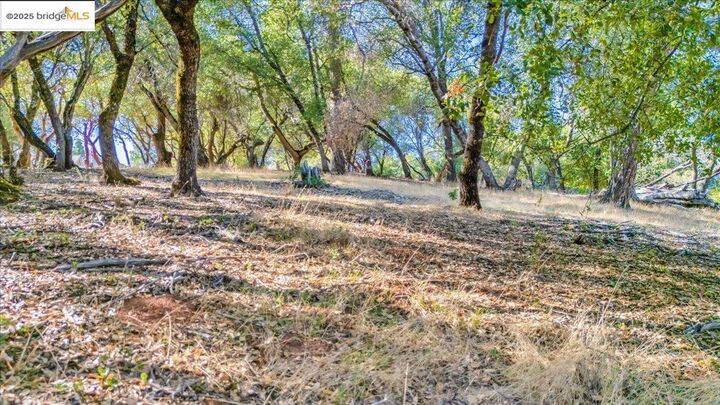 Property Photo:  20275 Ferret Ct  CA 95321