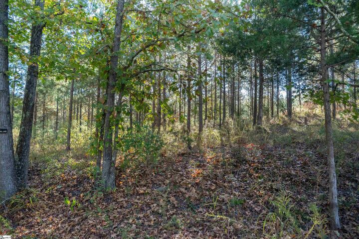 Property Photo: 735 Gwinn Mill Road SC 29374