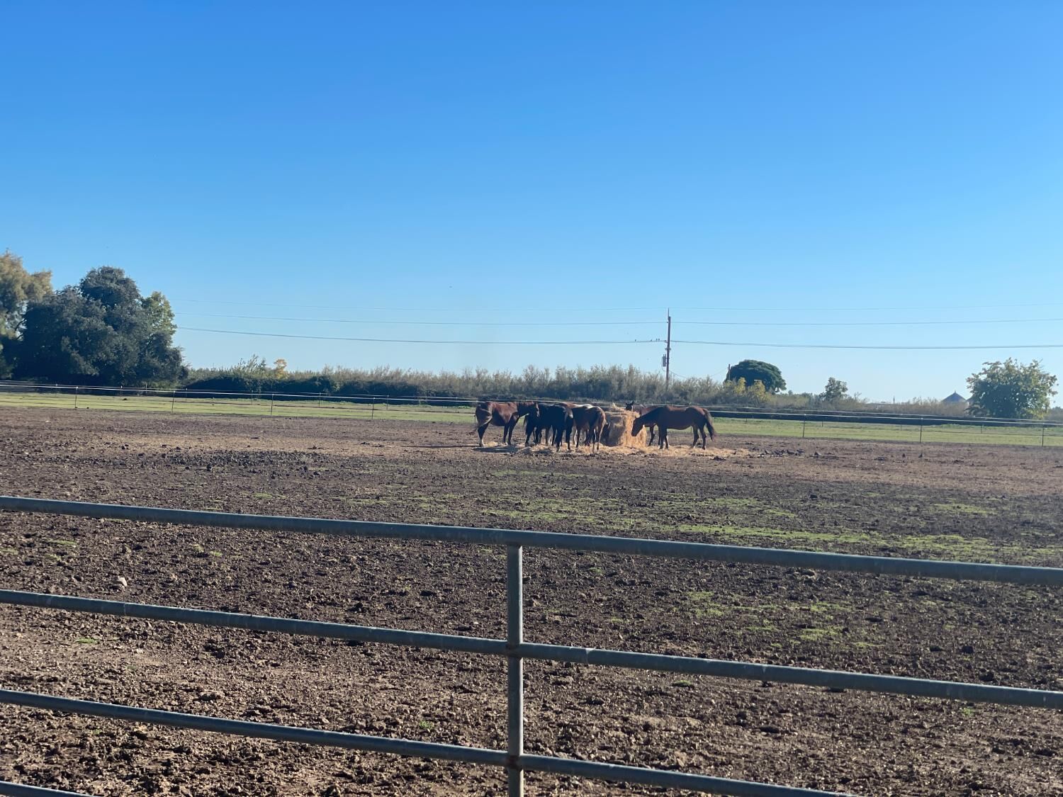 Property Photo: 5576 S Butte Road CA 95993