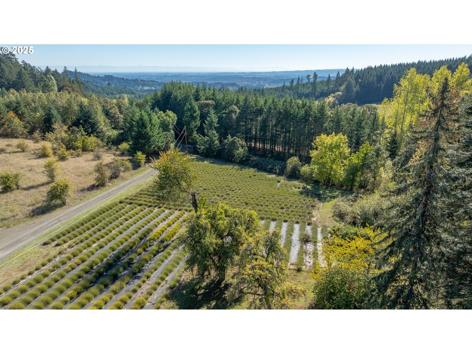 Property Photo: 16800 NW Willis Rd OR 97128