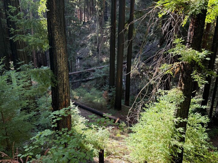 Property Photo: 449 Band Road CA 95006