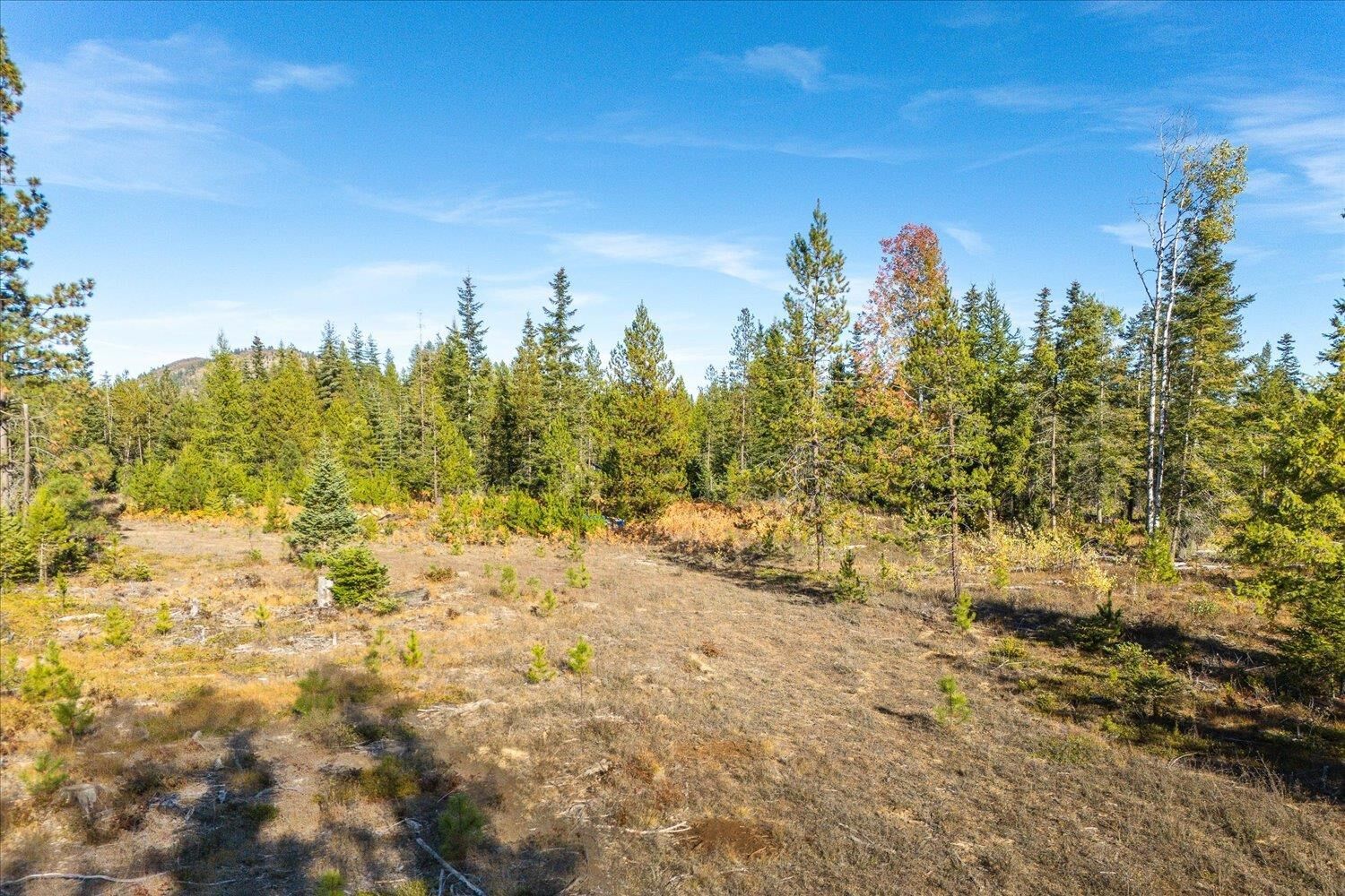 Property Photo:  Nka Coyote Trl. Rd 453119560004  WA 99156 