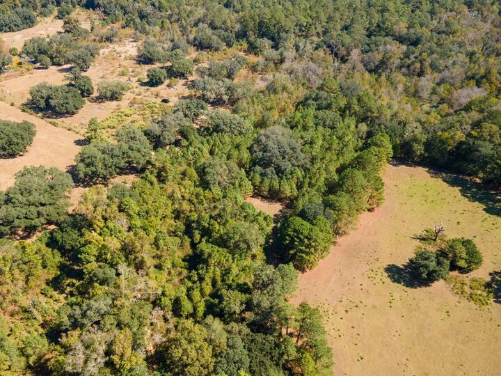 Property Photo: 0 Gardners Farm Road FL 32312