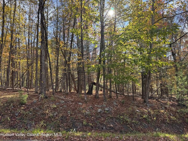 Property Photo: Tbd Cross Patch NY 12495