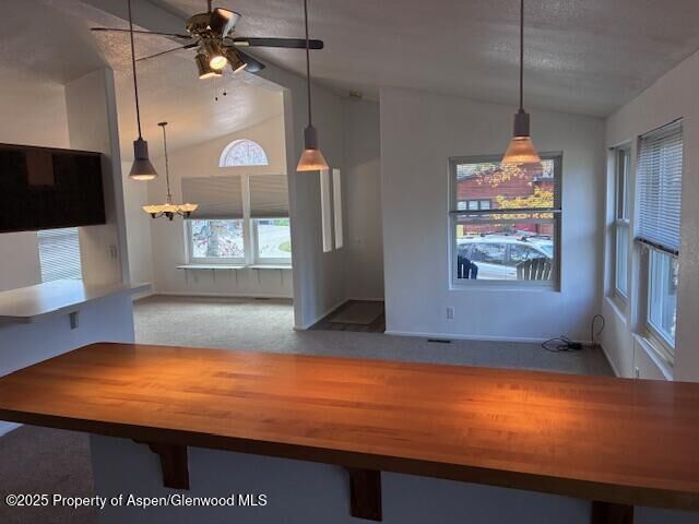 Property Photo:  227 Cottonwood Lane  CO 81611