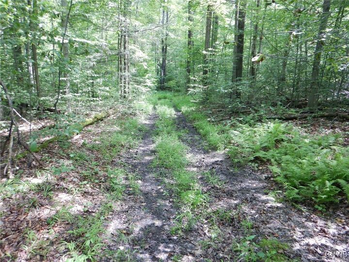 Property Photo: Bull Hill Road NY 14867