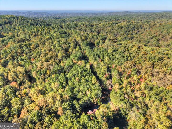 Property Photo: 523 Long Branch Road GA 30734