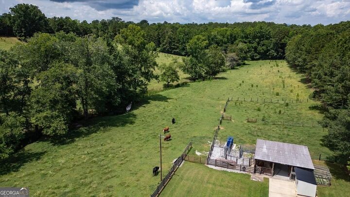 Property Photo:  0 County Road 19  AL 36264 