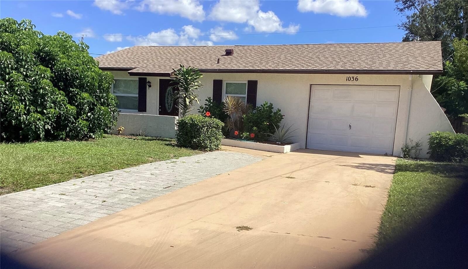 Property Photo: 1036 Hope Street FL 34285