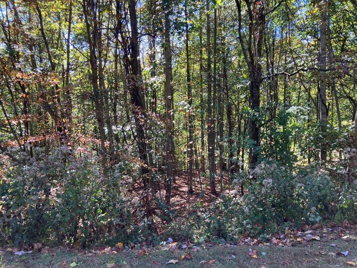 Property Photo:  28/29 Sanctuary Drive  NC 28906 