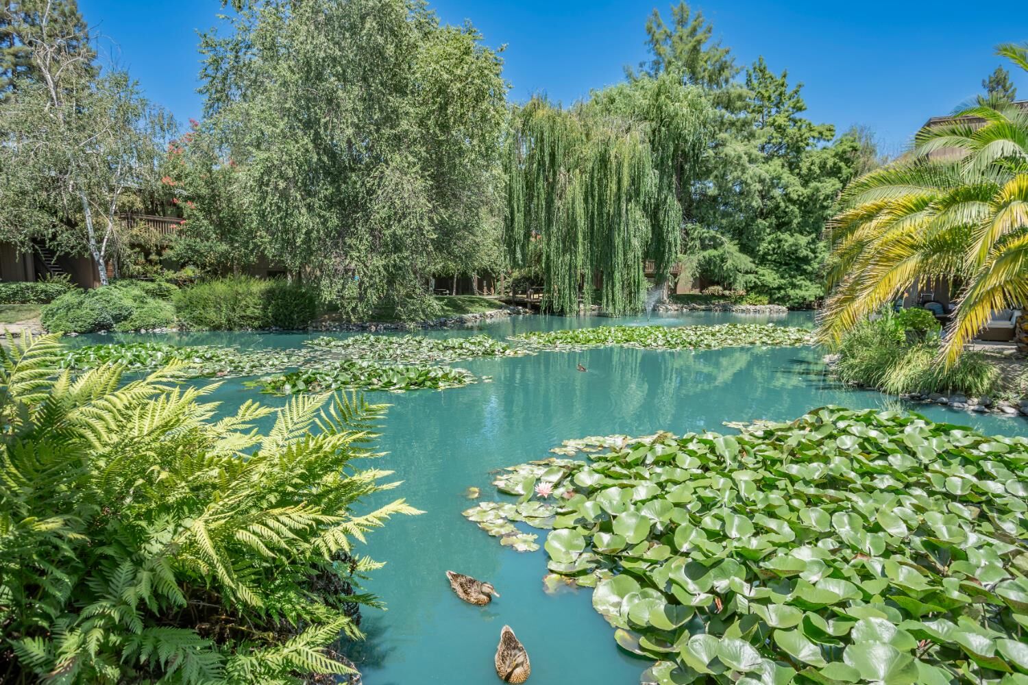 Property Photo: 2424 Larkspur Lane 216 CA 95825