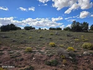 Property Photo:  6154 Fire Sky Trl Lot D  AZ 86046 