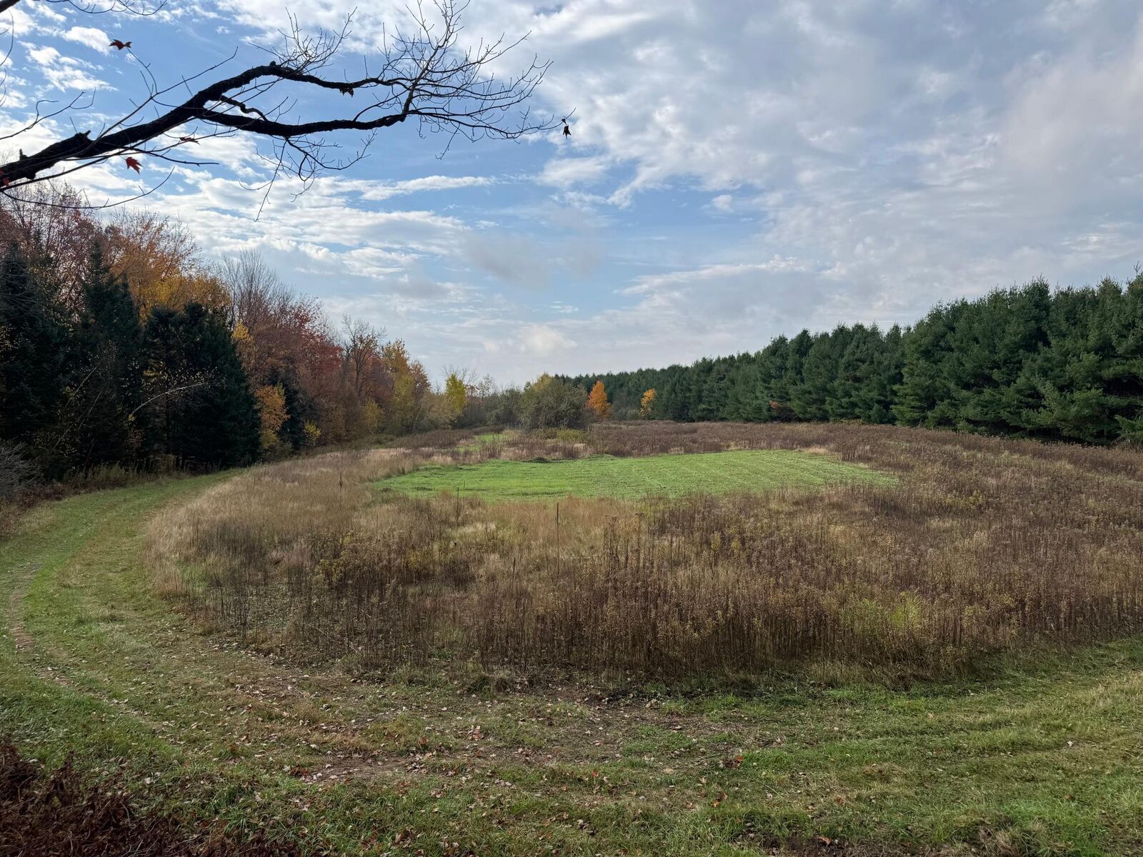 Property Photo: 110 Acres County Road O WI 54819