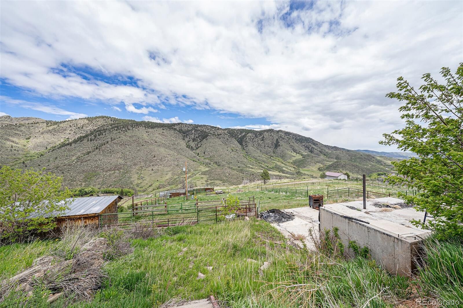 Property Photo: 439 Redtail Ridge Way CO 80512