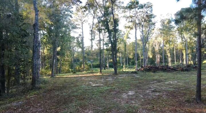 Property Photo:  00 Collins Road  GA 39828 