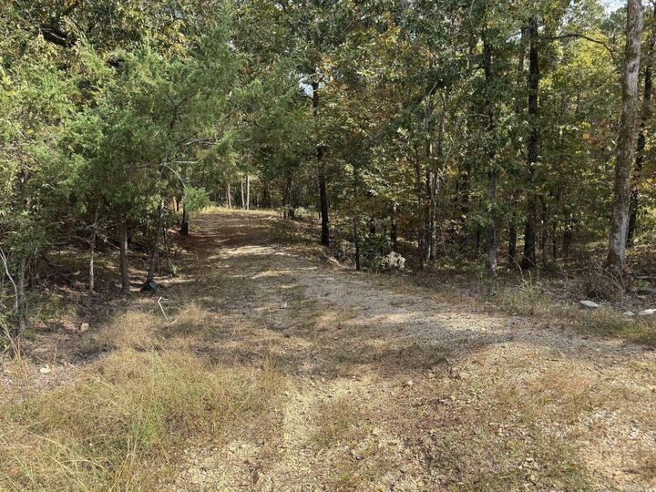 Property Photo: 113 Gloria Road AR 71913