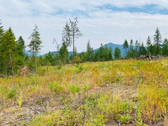 Property Photo:  Nhn Creek View Lane  MT 59844 