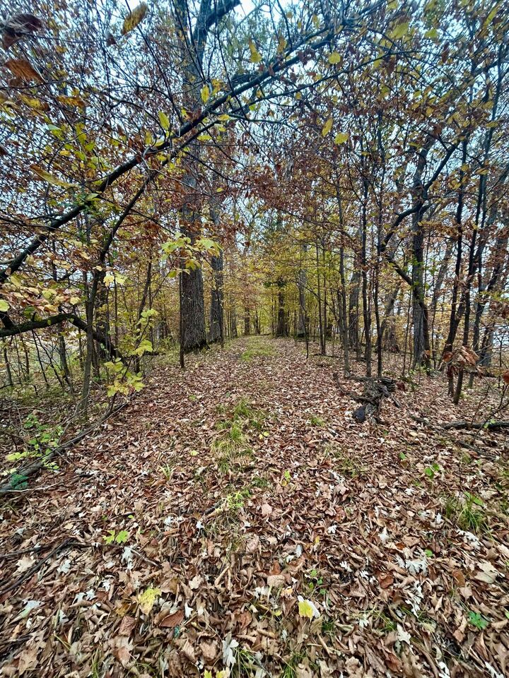 Property Photo: Tbd E Lake Lizzie Road MN 56572