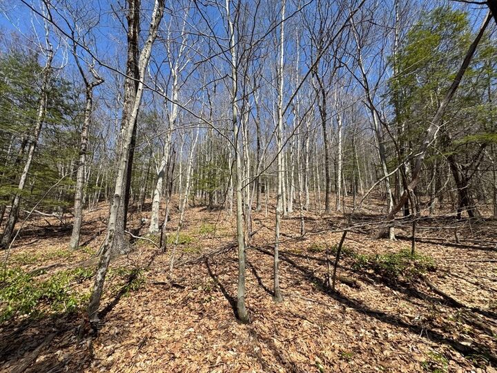 Property Photo:  544 Fox Hill Rd (Vacant Land)  MA 01337