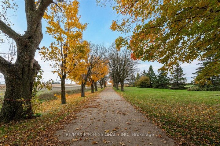 100 Tiny Flos Townline  Tiny ON L0L 1P1 photo