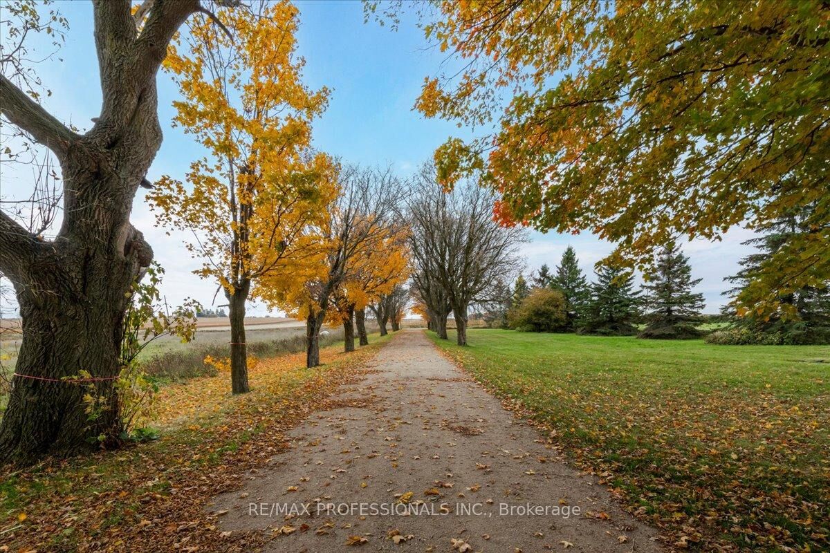 Property Photo:  100 Tiny Flos Townline  ON L0L 1P1