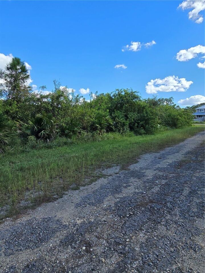 Property Photo:  423 Wilder Avenue S  FL 33974