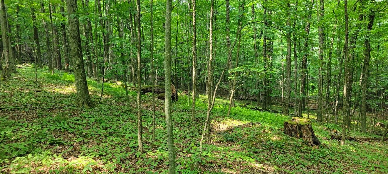 Property Photo: Hagerman NY 14892