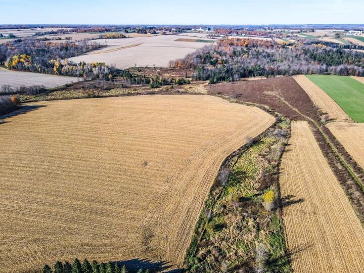 Property Photo:  42 Acres Marathon Road  WI 54448