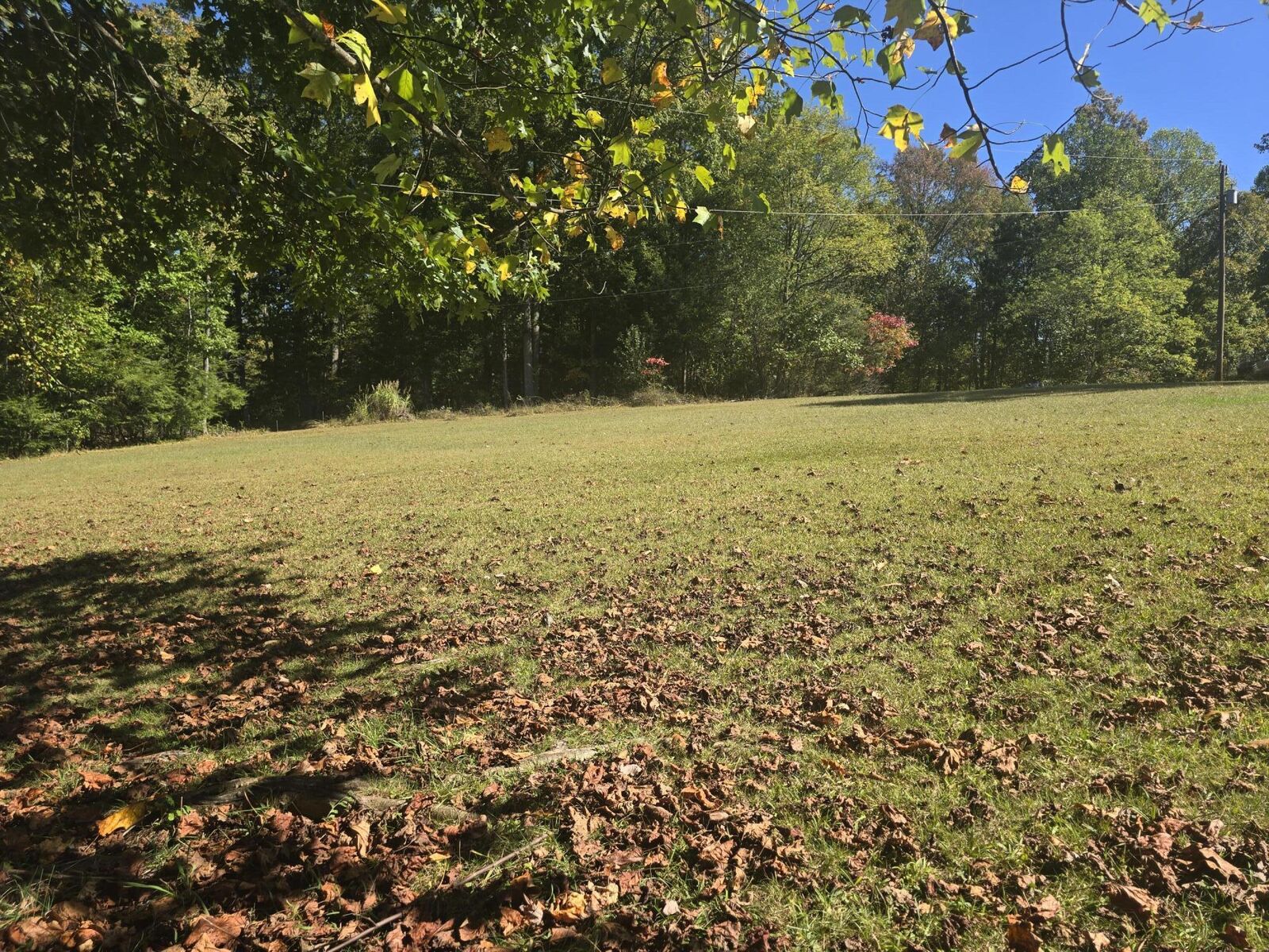 Property Photo: Boley Road WV 26679