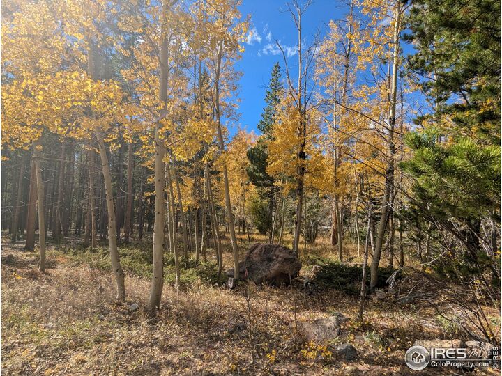 Property Photo:  11 Bear Gulch Rd  CO 80545 